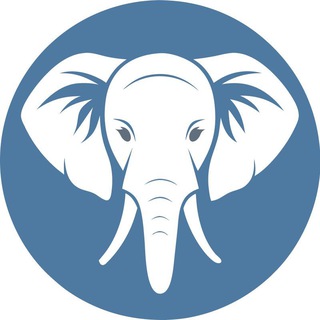 Telegram profile photo for Jersey Cargo