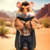 Telegram profile photo for Hamestir Kombot