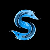 Telegram profile photo for Safex Instructions