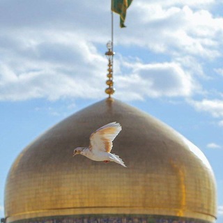 Telegram profile photo for لـِـواءُ الحـَـقِ عـَلـيَّ •