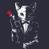 Telegram profile photo for Puckiee Project’s