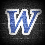 Telegram profile photo for Wii News