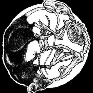 Telegram profile photo for Крысиный Король👑🐀