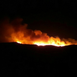 Telegram profile photo for INCENDIOS FORESTALES