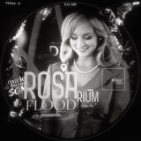 Telegram profile photo for R𑄜sarium flood. INFO