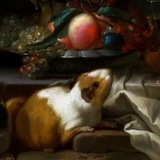 Telegram profile photo for 𝐼𝓃𝒻𝑜 & 𝒞𝑜𝓂𝓂 eveshmor