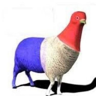 Telegram profile photo for LE MOUGEON π FRANCAIS π¬