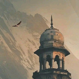 Telegram profile photo for Asif Muhammad