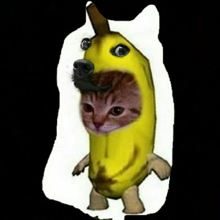 Telegram profile photo for Shit post