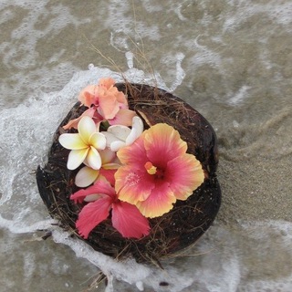 Telegram profile photo for love in summer.