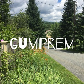 Telegram profile photo for open, gumprem