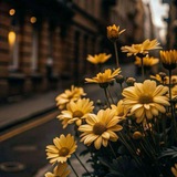 Telegram profile photo for تَرنـِيمـةُ حَــرف