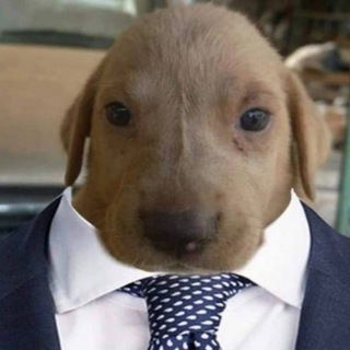 Telegram profile photo for Комишная притвора🍥