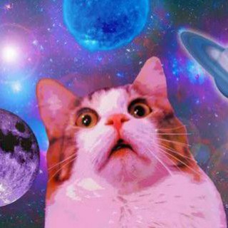 Telegram profile photo for buushka