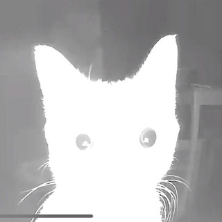 Telegram profile photo for Пульт МШ