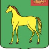 Telegram profile photo for Администрация г.о. Бронницы