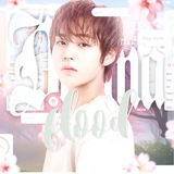 Telegram profile photo for Dramasxxx Flood D-7 закрыт🔒