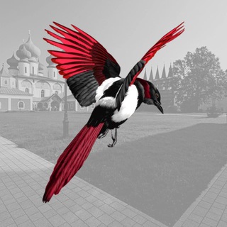 Telegram profile photo for Тихвинская сорока