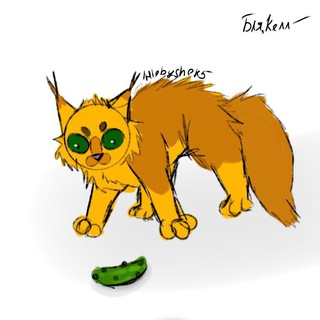Telegram profile photo for Kelll's Base
