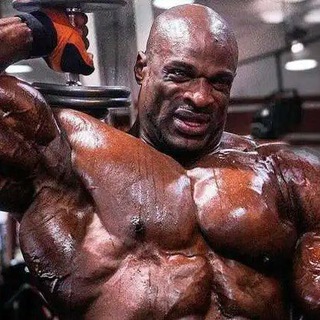 Telegram profile photo for bodybuilders exercise
