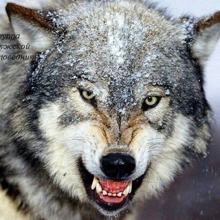 Telegram profile photo for Андижон Масква 🤝🤝🌅🏞🌃🏙усталар