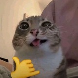 Telegram profile photo for Ева без Адама