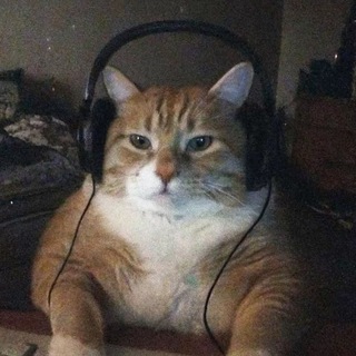 Telegram profile photo for Tweetlarim 😼