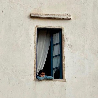 Telegram profile photo for شایَد؛