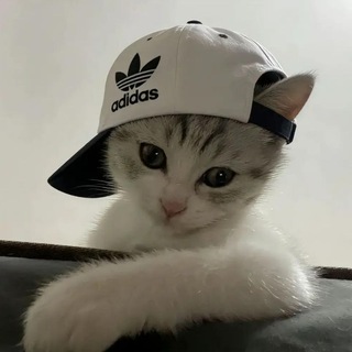 Telegram profile photo for ๐๐๐ใ๐๐๐๐๐