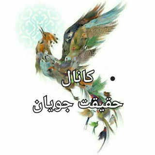 Telegram profile photo for طب سنتی(کاوه آذر)