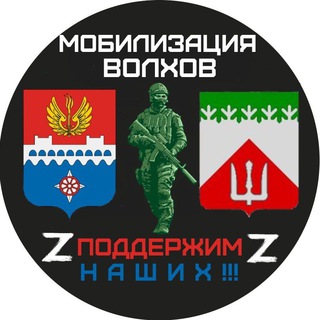 Telegram profile photo for Мобилизация Волхов