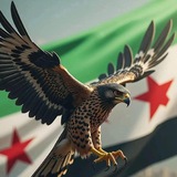 Telegram profile photo for سوريا أونلاين