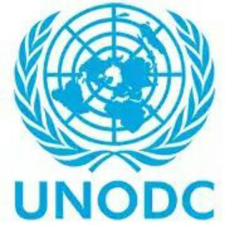 Telegram profile photo for UNODC