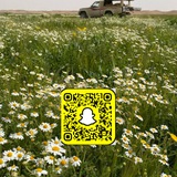 Telegram profile photo for قناة بدر بن علي 📸