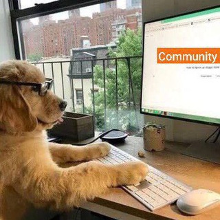Telegram profile photo for Community FM in VN🎓
