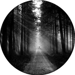 Telegram profile photo for Твой Путь