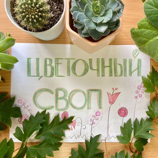 Telegram profile photo for Цветочный своп БАРНАУЛ 🔆Алтайский край