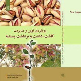 Telegram profile photo for pistachios novel management