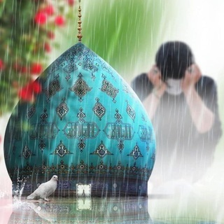 Telegram profile photo for ريـحانـة المـصطفى