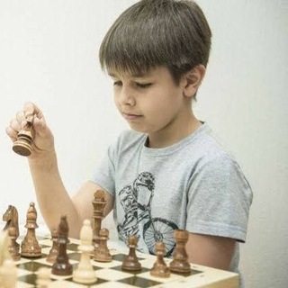 Telegram profile photo for آموزش تخصصی شطرنج به کودکان