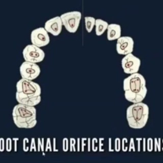 Telegram profile photo for information in dental cases