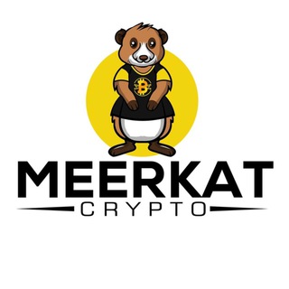 Telegram profile photo for Meerkat Signals - Massive Crypto Profits