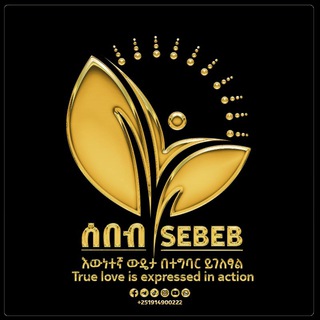 Telegram profile photo for ሰበብ SEBEB