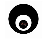 Telegram profile photo for 潍坊资源合集950