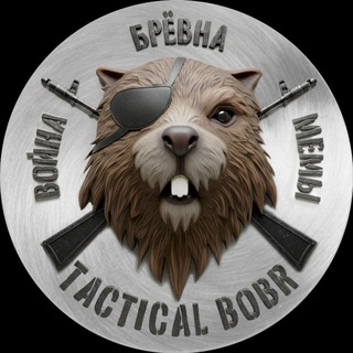 Telegram group profile photo for Берлога TACTICAL BOBR