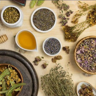Telegram profile photo for Pratiques ancestrales - Plantes médicinales