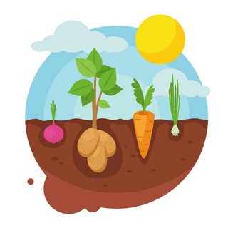 Telegram profile photo for 🌶 Огород и дача | Лайфхаки