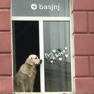 Telegram profile photo for БасянЯ❤️