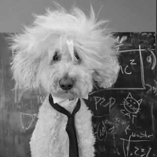 Telegram profile photo for ساینس|science