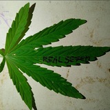 Telegram profile photo for Real se7en